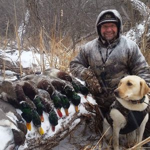 Meet your Posher, Bob